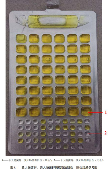 總大腸菌群、糞大腸菌群酶底物法陰性、陽(yáng)性結(jié)果參考圖